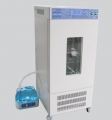 恒溫恒濕箱LHS-250