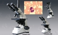 實驗型生物顯微鏡LW200-20B