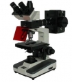 XSP-BM-13C落射熒光顯微鏡