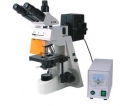 BM-19AY熒光顯微鏡