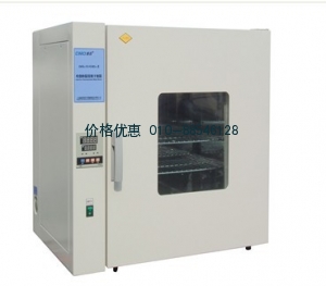 電熱恒溫鼓風干燥箱(200℃)DHG-9033BS-Ⅲ