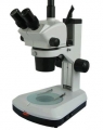 XTL-BM-8T連續變倍體視顯微鏡