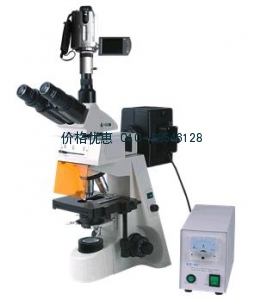 BM-19AYV攝像熒光顯微鏡