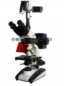 BM-21AYV攝像型落射熒光顯微鏡