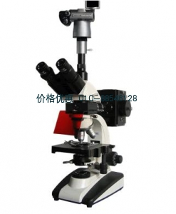 BM-20AYS數碼落射熒光顯微鏡