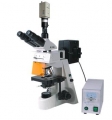 BM-19AYC電腦型熒光顯微鏡