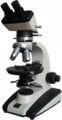 BM-59XA偏光顯微鏡