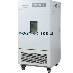 LHS-250HC-Ⅰ恒濕恒溫箱
