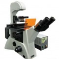 熒光顯微鏡LWD300-38LFT