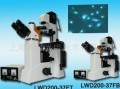 倒置熒光生物顯微鏡-四色LWD200-37FT
